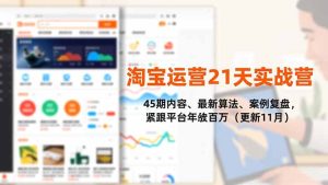 内容、最新算法、案例复盘，紧跟平台年入百万（更新11月）