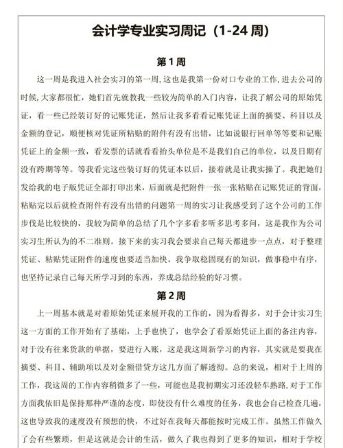 会计实习经验分享_会计电算化实训的收获与感受_会计实习日记