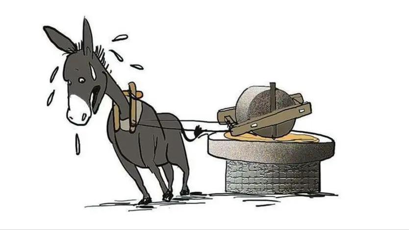 没有编制的教师的出路_小学教师过剩预测_教师超编趋势