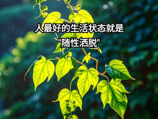 让笑容成为心情的主旋律_微笑着面对失败，是一种很好的_活得潇洒一点