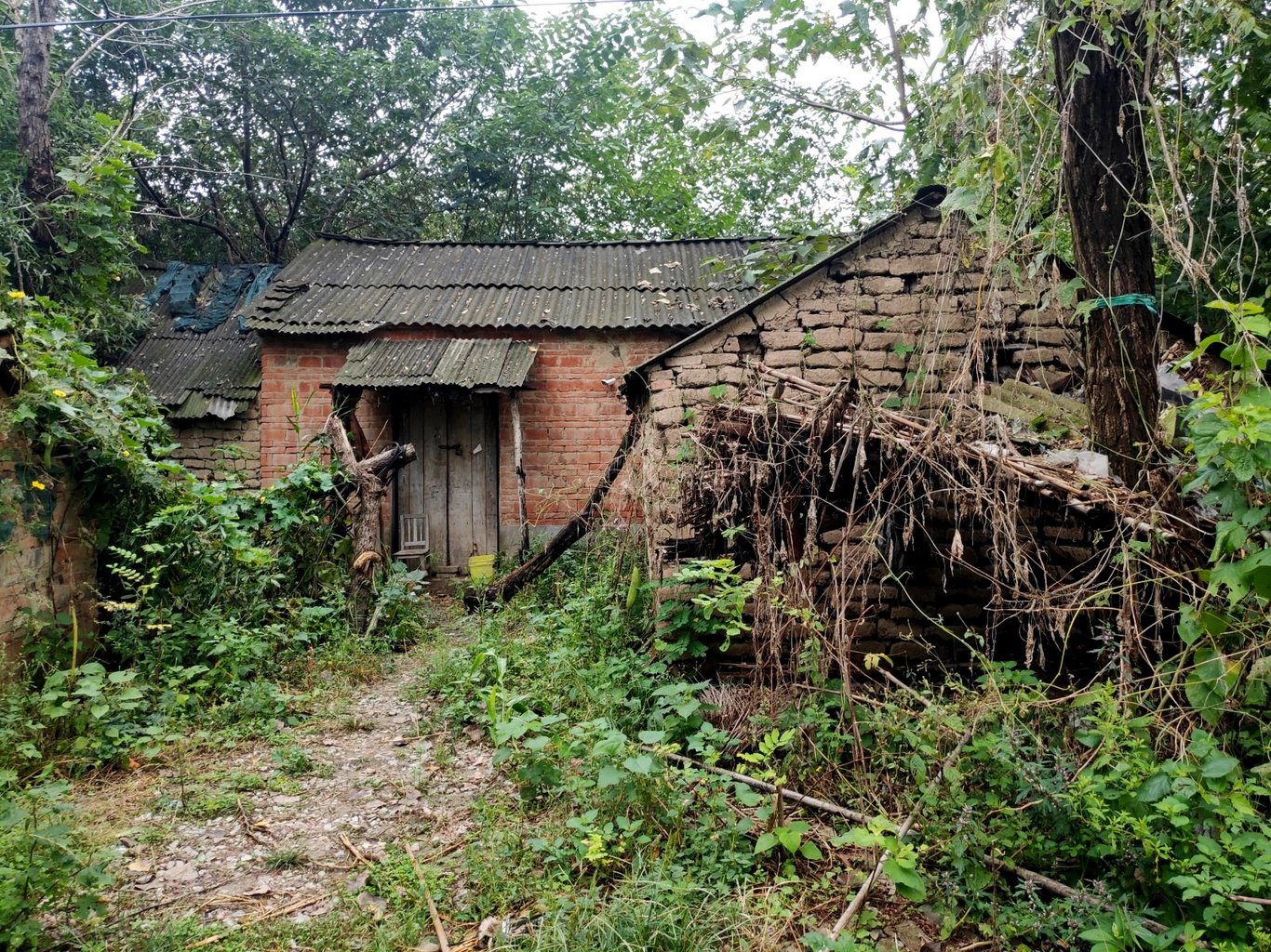 乡村雨声与城市雨声对比_雨声与自然气息_生活中大自然的声音