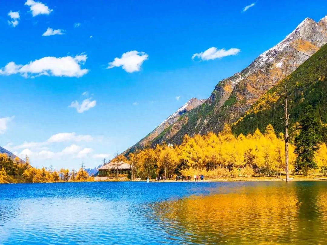 旅行社的利润有多大-旅行社生死局 2025：吊销执照潮下，有人靠 “人头费” 铤而走险