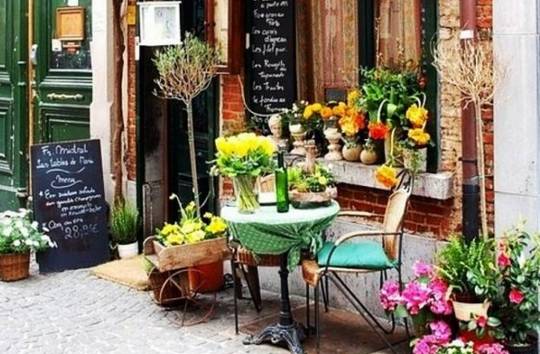 花艺设计销售培训_开一家花店需要什么条件_开花店需要了解的知识