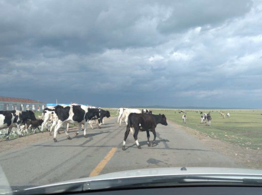 家庭沉浸式英语环境构建_儿童去私家学英语好还是去机构好_家长英语学习路线规划