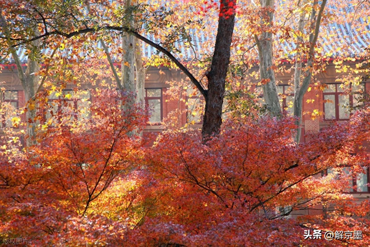 人生太多无奈心情文章-人生有很多的苦,是因为太执着;生活有太多的怨,是因为不甘心