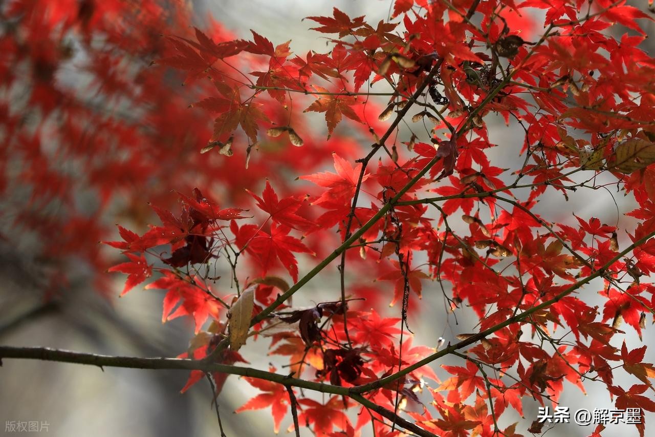 人生哲理_人性洞察_人生太多无奈心情文章