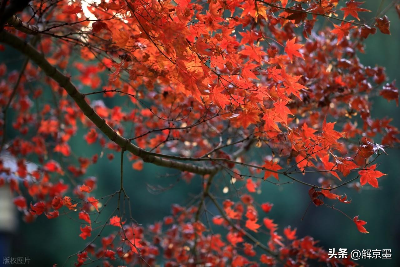 人生太多无奈心情文章_人性洞察_人生哲理