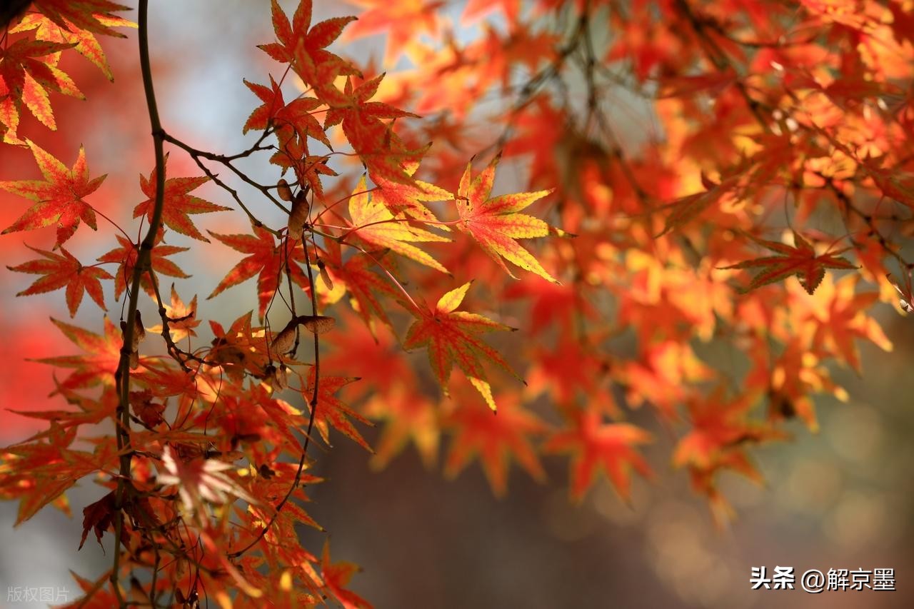 人生哲理_人性洞察_人生太多无奈心情文章