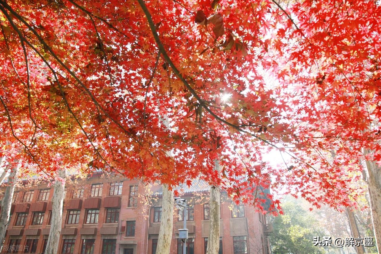 人生太多无奈心情文章_人性洞察_人生哲理