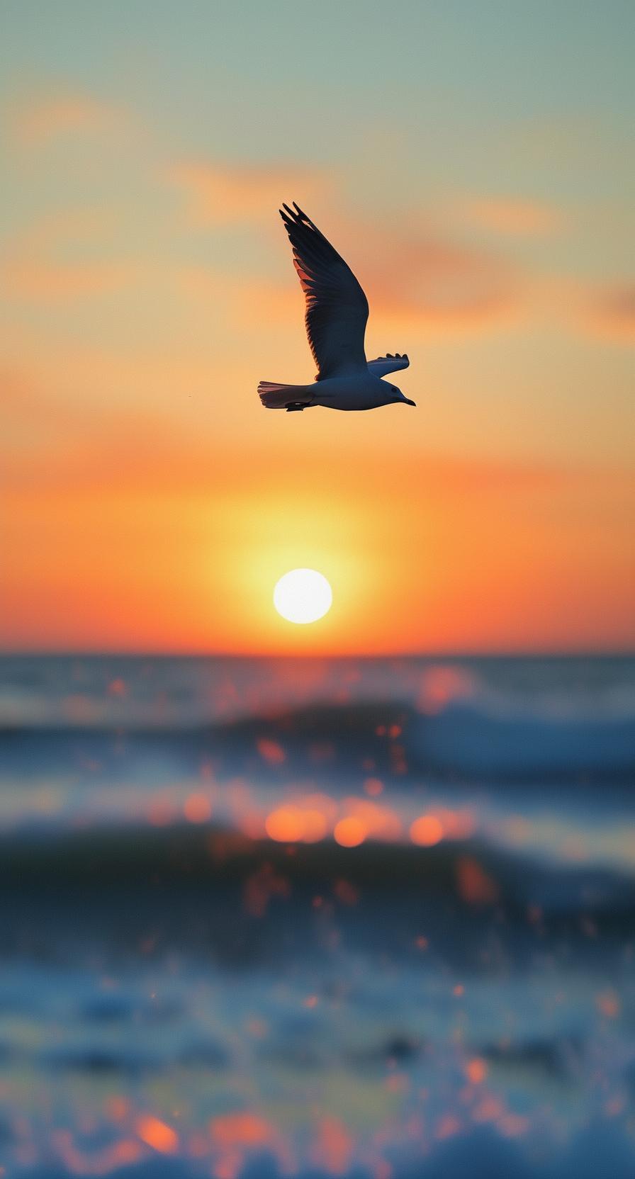 开启人生宽广与平静_放下斤斤计较_为什么一个人要变得斤斤计较