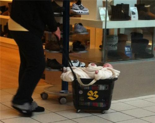 加拿大特色搞笑事件_有关加拿大的图片大全_加拿大奇葩瞬间