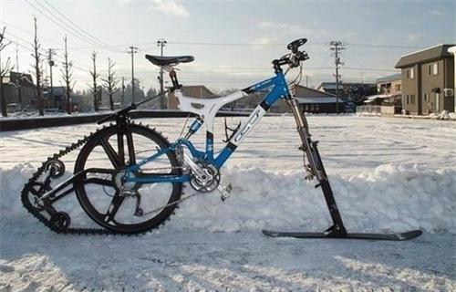 加拿大奇葩瞬间_加拿大特色搞笑事件_有关加拿大的图片大全