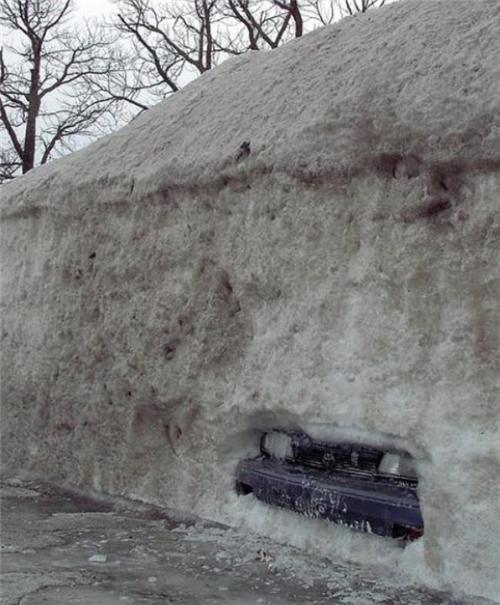 加拿大奇葩瞬间_加拿大特色搞笑事件_有关加拿大的图片大全