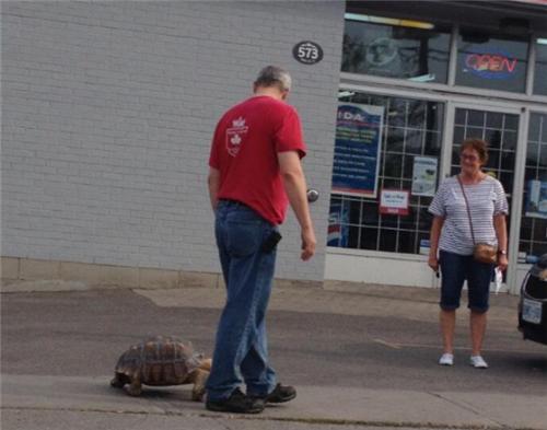 加拿大奇葩瞬间_加拿大特色搞笑事件_有关加拿大的图片大全