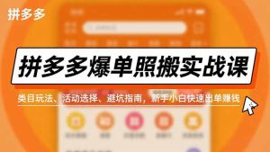 拼多多爆单照搬实战课,类目玩法、活动选择、避坑指南,新手小白快速出单赚钱