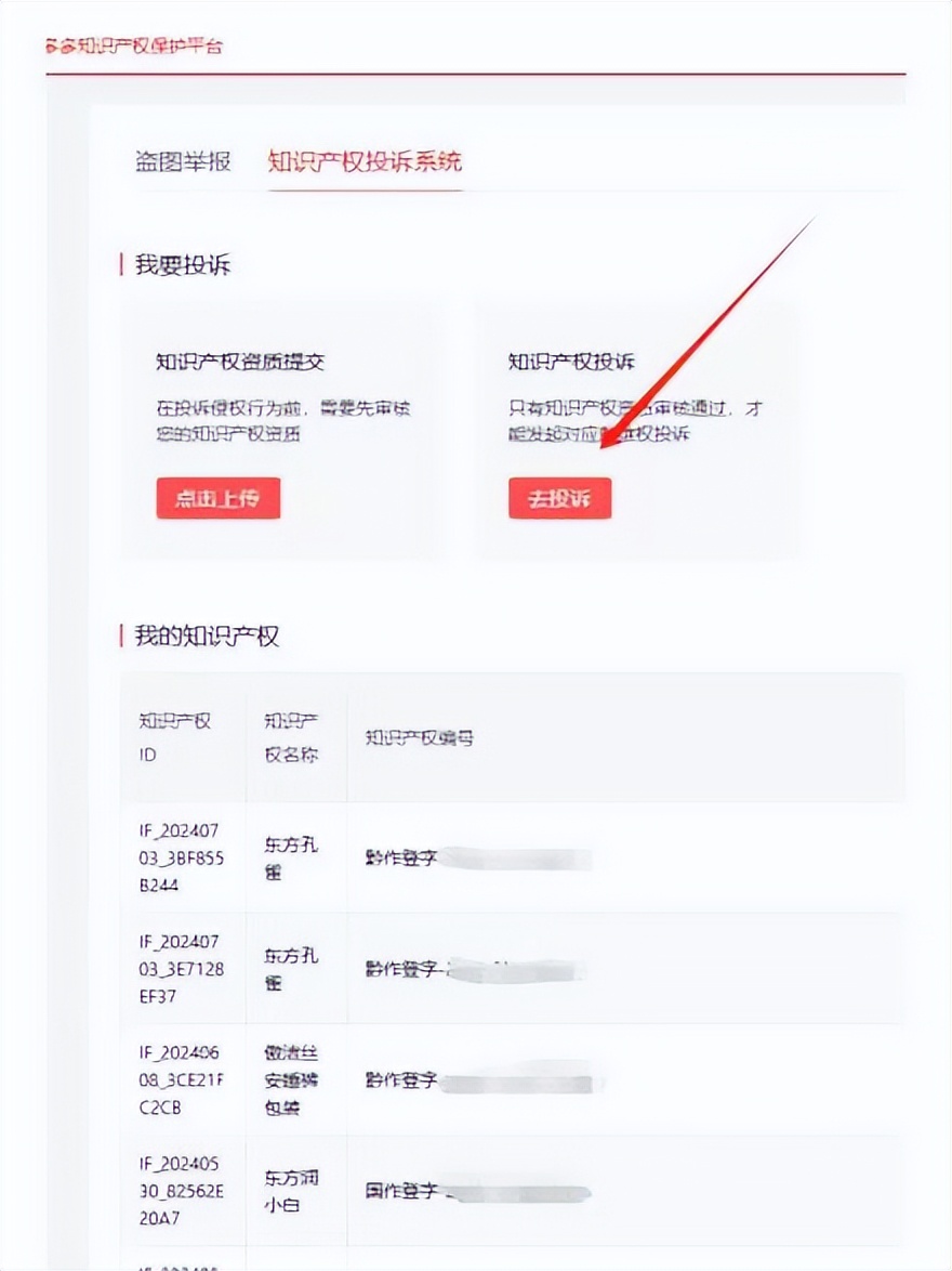 拼多多旗舰店 申请品牌入库_管控低价乱象的知识产权策略_拼多多品牌知识产权保护