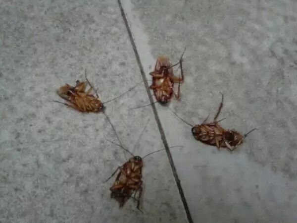 人生没有意义 恐慌 寻求帮助_我感觉人活着没有意义