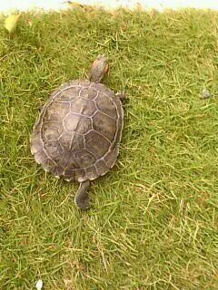 我感觉人活着没有意义_人生没有意义 恐慌 寻求帮助