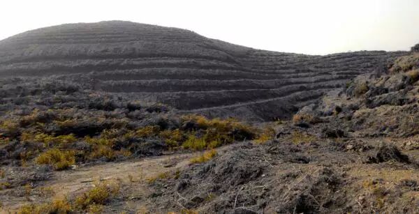 我感觉人活着没有意义-为什么会经常觉得人活着没有意思?