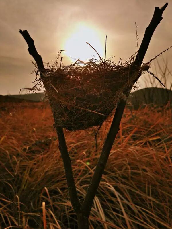 我感觉人活着没有意义_人生没有意义 恐慌 寻求帮助