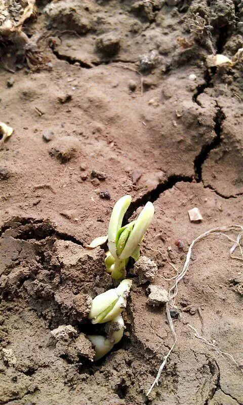 我感觉人活着没有意义_人生没有意义 恐慌 寻求帮助