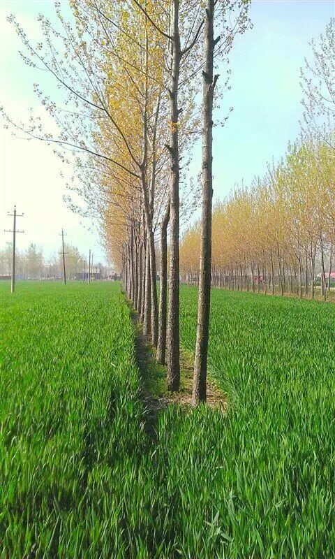 人生没有意义 恐慌 寻求帮助_我感觉人活着没有意义