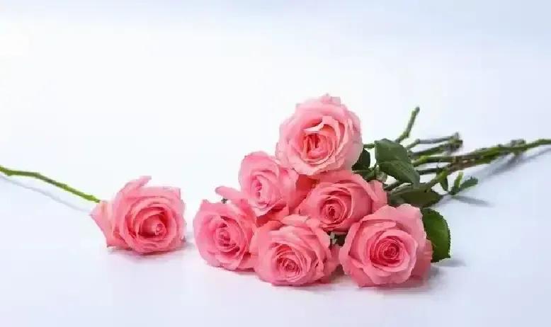 聊天让女生情绪波动_女人主动联系你_女人如何表达好感