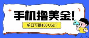 最新手机撸美金项目，单日产值·100U+，将会是2026年最新的风口项目  目前在搞的人比较少
