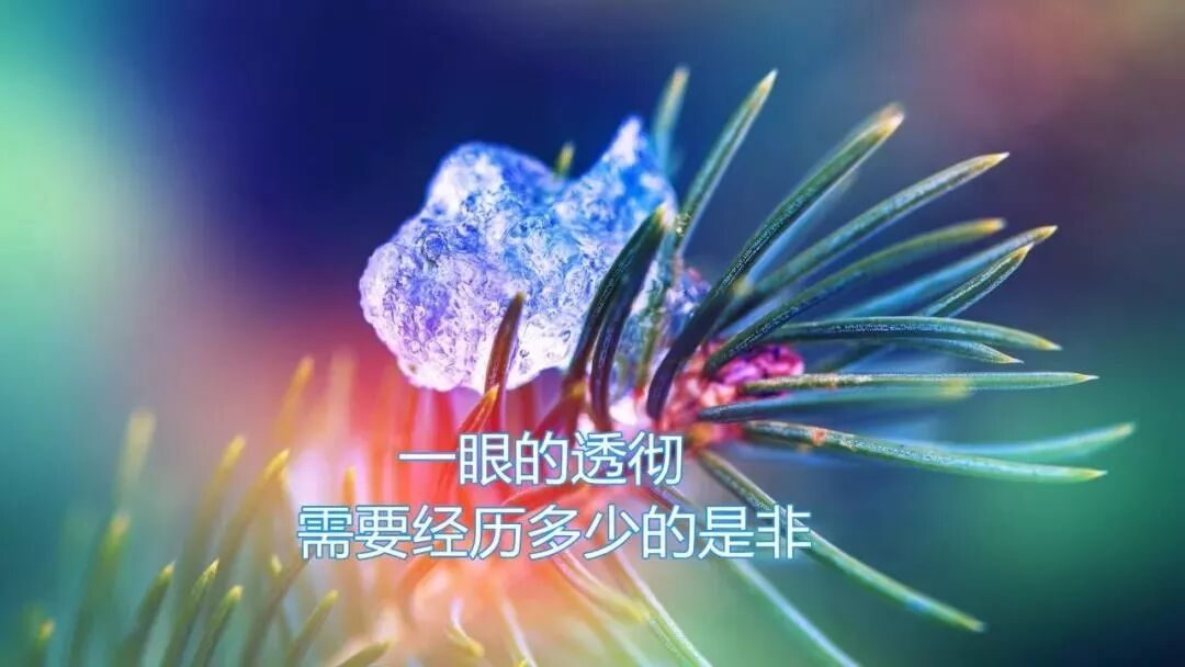 人生感悟_人生经历_人生没有彩排感悟说说