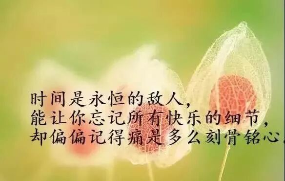 人生经历_人生没有彩排感悟说说_人生感悟