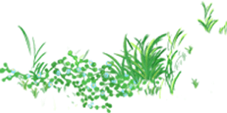 杭州市教科所姚立新讲座_心理健康c证培训论文_心理健康教育教师C证培训