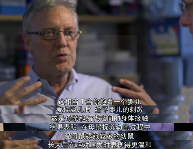 教出乐观的孩子:让孩子受用一生的幸福经典_孩子性格悲观原因_后天养育影响性格