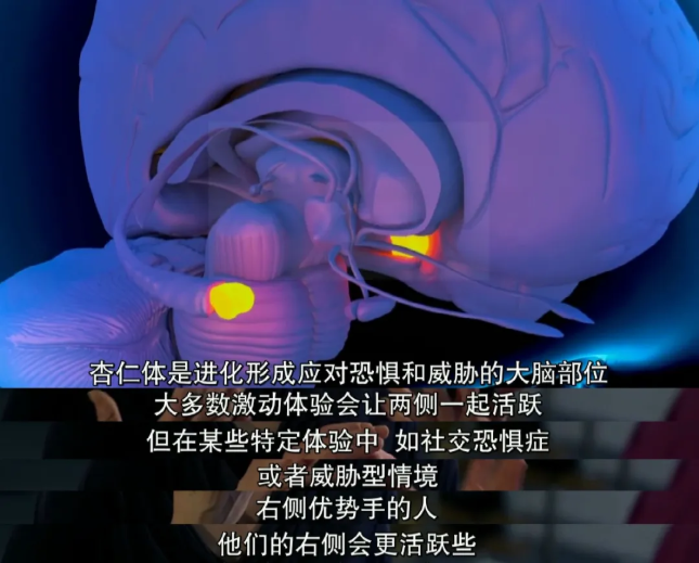 孩子性格悲观原因_后天养育影响性格_教出乐观的孩子:让孩子受用一生的幸福经典