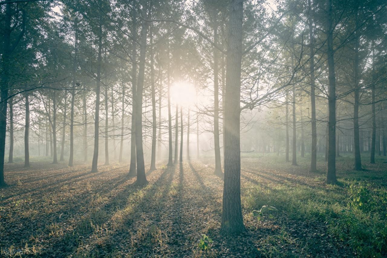 易语言5.6官方完整版-易语言2024最新零基础入门+全流程实战教程，学点网赚必备技术！