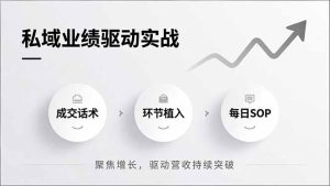 私域业绩驱动实战,成交话术、环节植入、每日SOP,聚焦增长,驱动营收持续突破