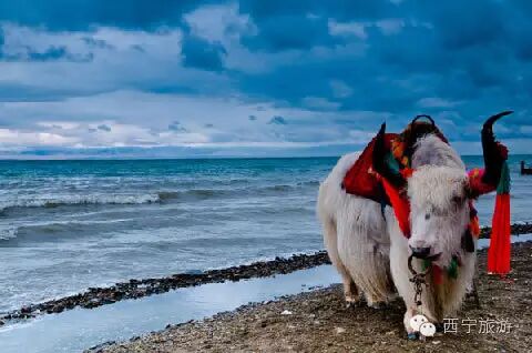 要么读书,要么旅行,身体和灵魂总有一个在路上_人生就像旅行读书旅行对人生的影响_要么旅行要么读书身体和灵魂在路上