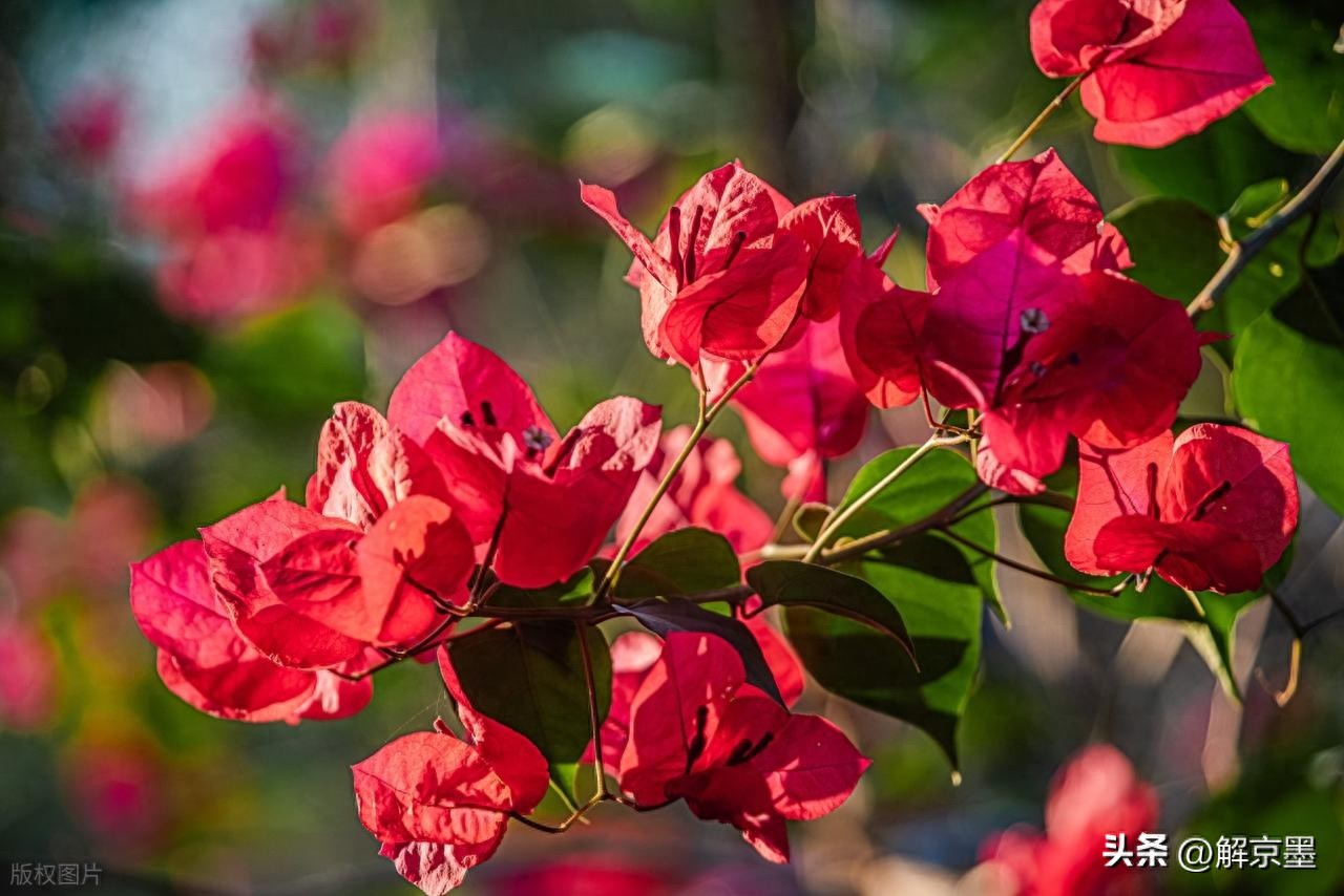生活需要阳光心态-人生,一定要学会释放！阳光微淡，现世安稳，岁月静好,这就是生活