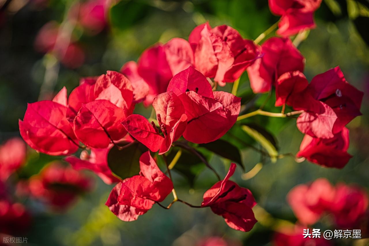 生活需要阳光心态_心灵成长_人生感悟