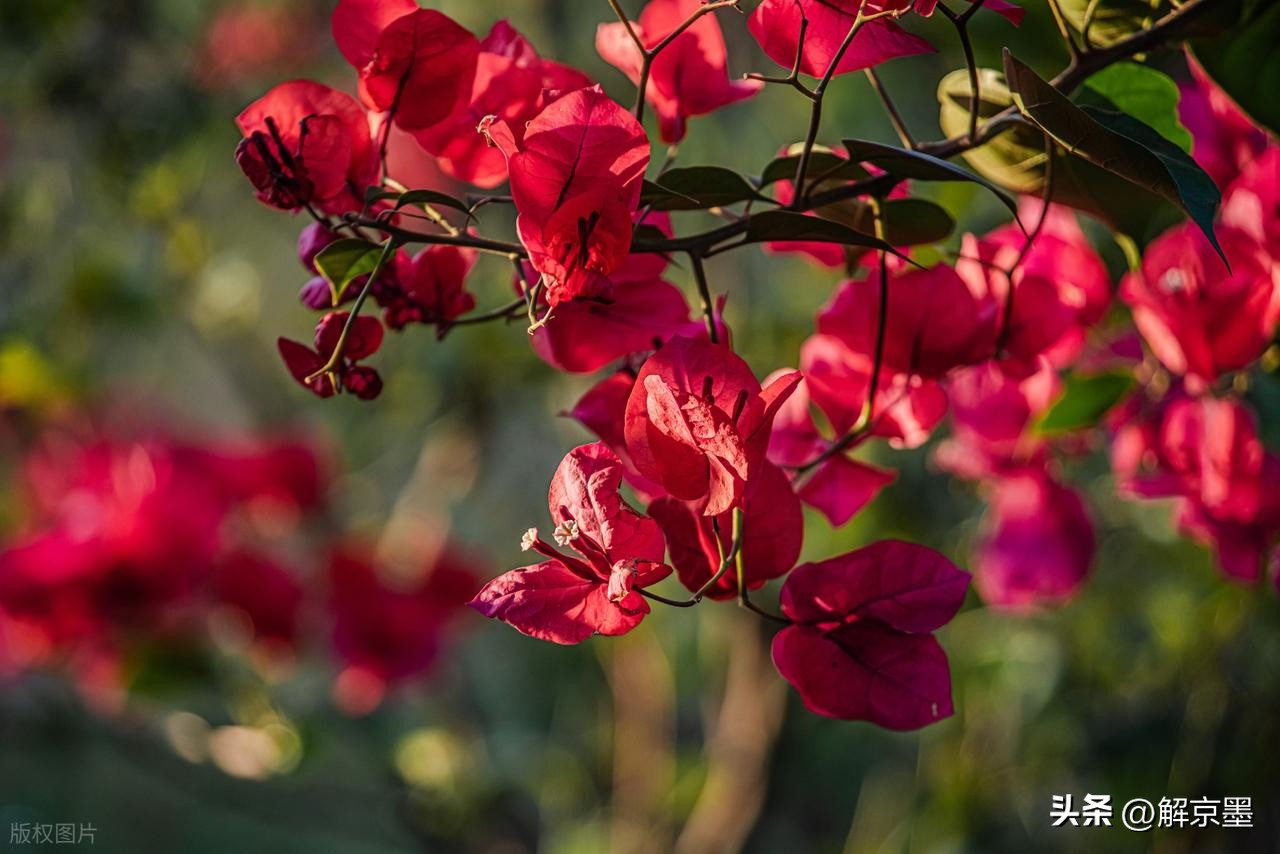 心灵成长_生活需要阳光心态_人生感悟