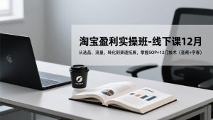 淘宝盈利实操班-线下课12月，从选品、流量、转化到渠道拓展，掌握SOP+12门技术（音频+字幕）