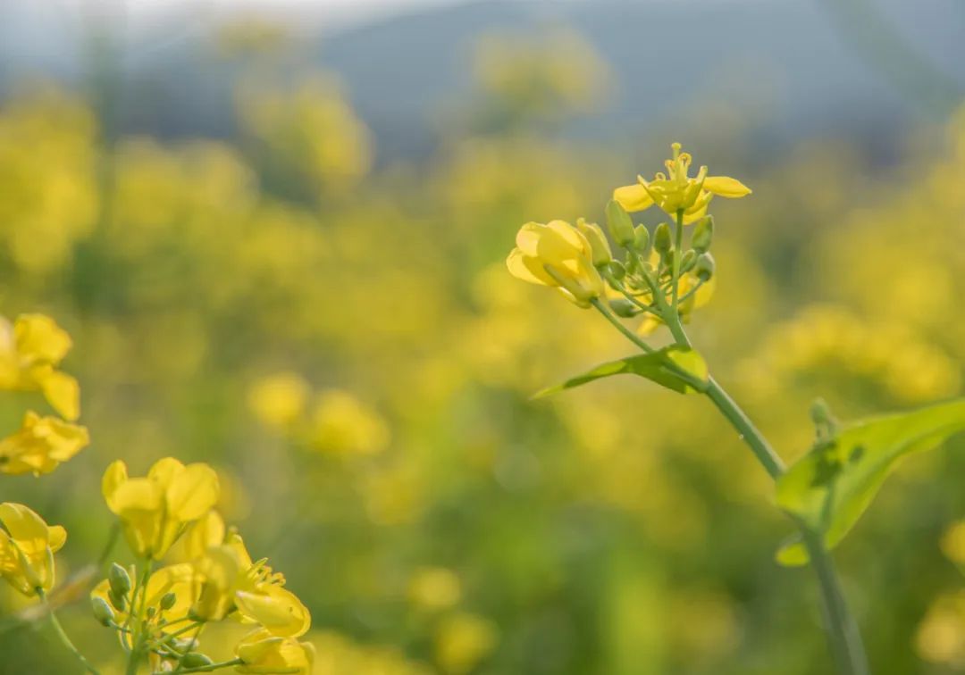孝顺父母_不孝父母没有贵人_不孝顺的代价