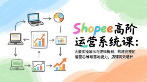 Shopee高阶运营系统课：大量实操演示与逻辑拆解，构建完整的运营思维与落地能力，店铺高效增长
