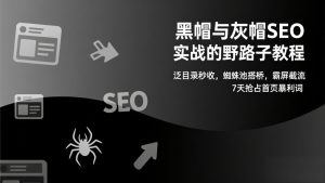 黑帽与灰帽SEO实战的野路子教程：泛目录秒收，蜘蛛池搭桥，霸屏截流，7天抢占首页暴利词