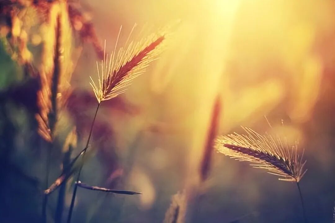 用一两件事写父母的爱-人过五十，请马上停止对子女做这两件事，很多人都吃了苦头