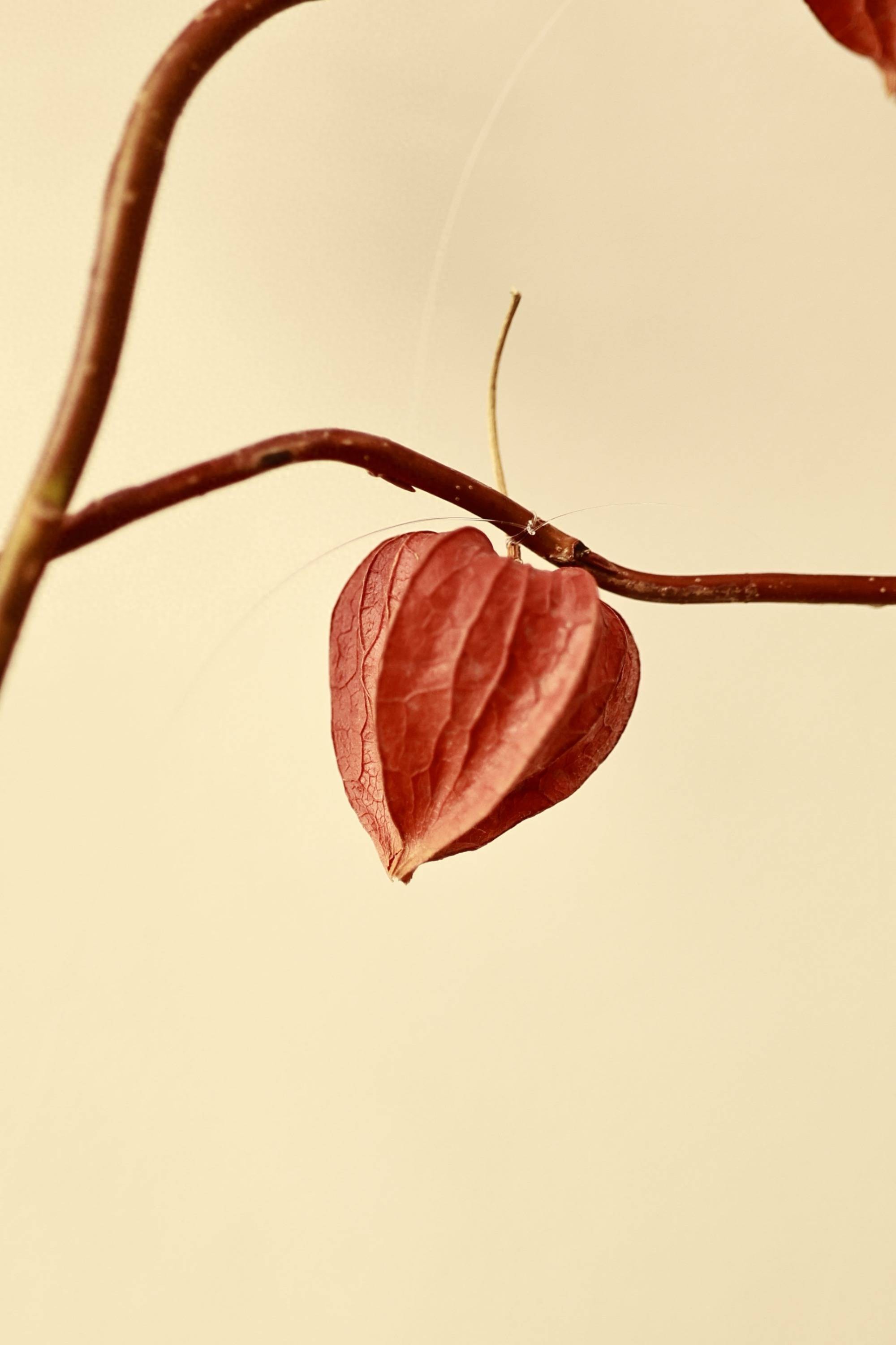 艺术培训中心装修效果图-艺术漆：让家居墙面不再单调