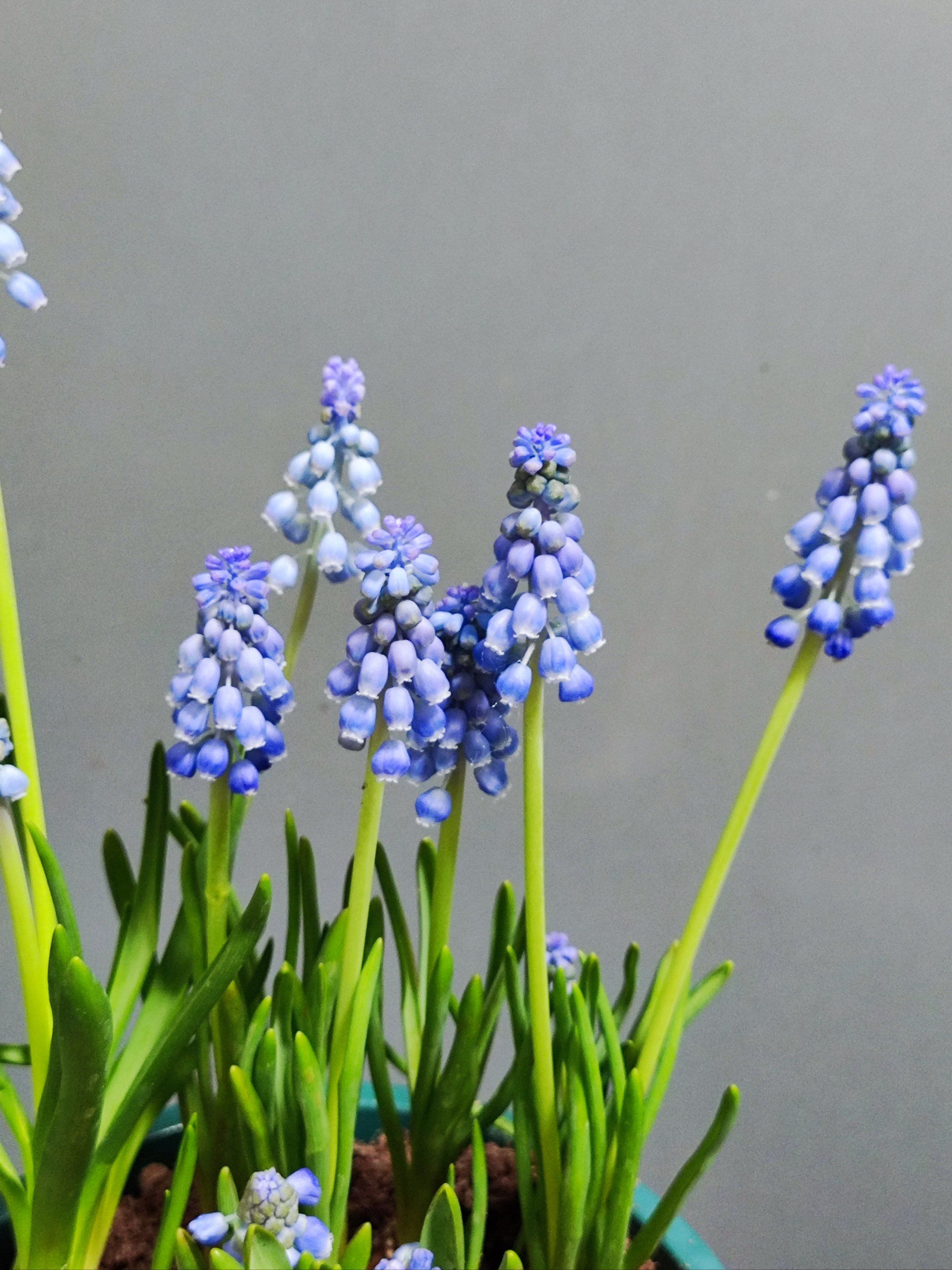 年轻人躺平摆烂的原因_年轻人应不应该贪图安逸_留学回国就业困境