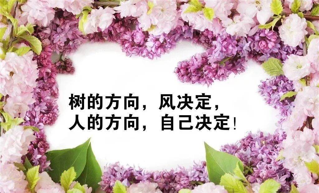 每日励志说说_人生感悟语录_适应一个人的生活说说