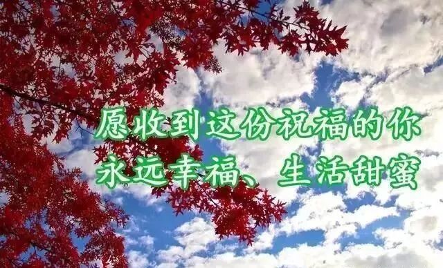 适应一个人的生活说说_每日励志说说_人生感悟语录