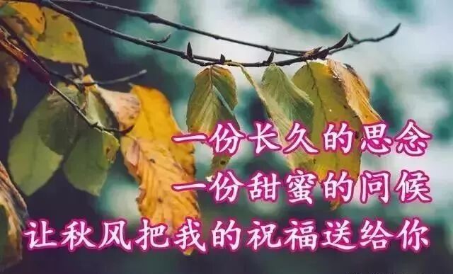 每日励志说说_适应一个人的生活说说_人生感悟语录