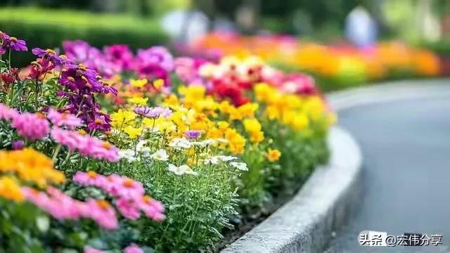 自私的父母是什么样的_亲情自私_晚年亲情观